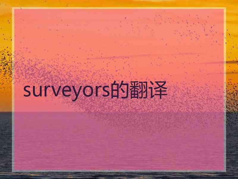 surveyors的翻译