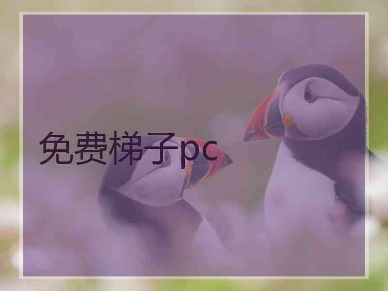 免费梯子pc