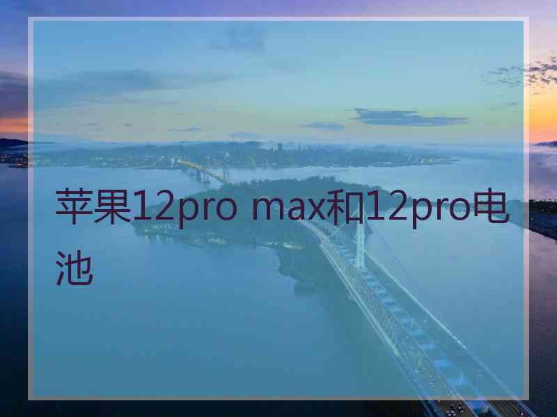 苹果12pro max和12pro电池