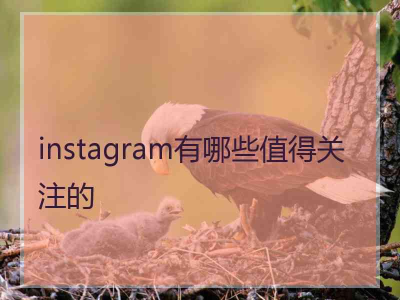 instagram有哪些值得关注的