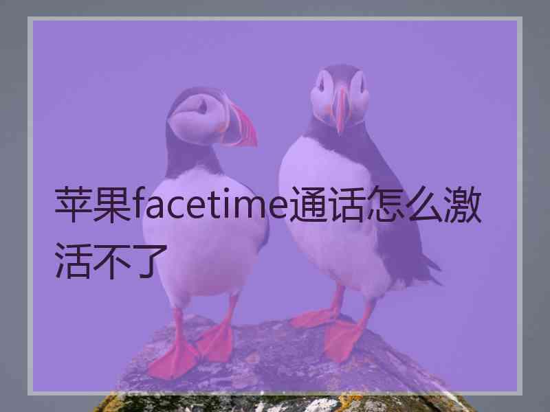 苹果facetime通话怎么激活不了