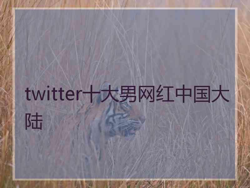 twitter十大男网红中国大陆