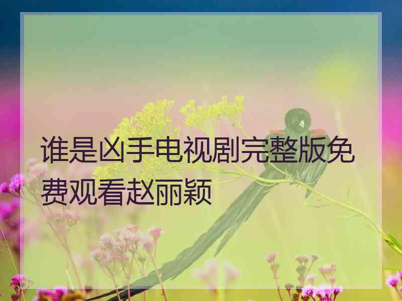 谁是凶手电视剧完整版免费观看赵丽颖