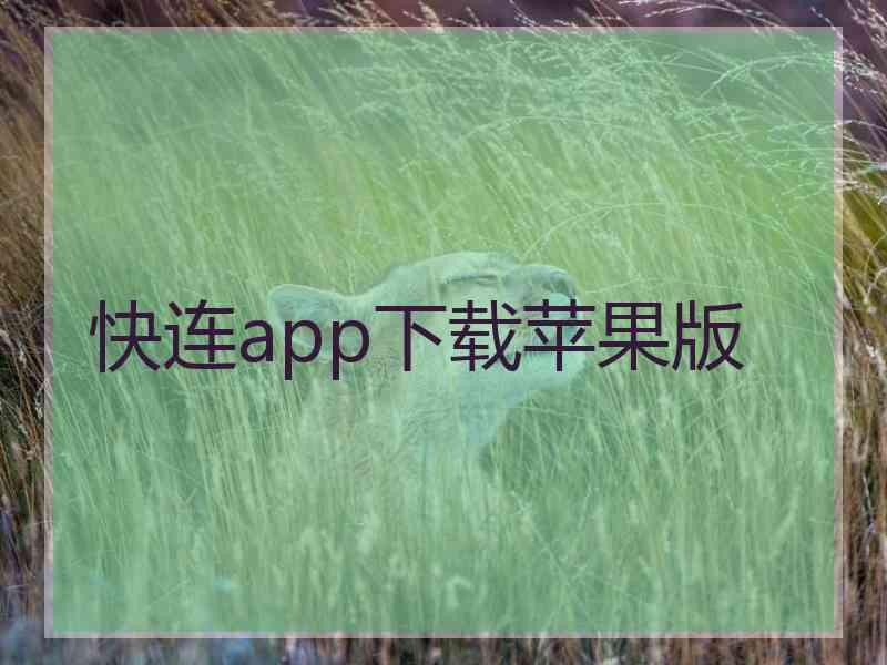 快连app下载苹果版