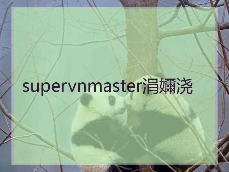 supervnmaster涓嬭浇