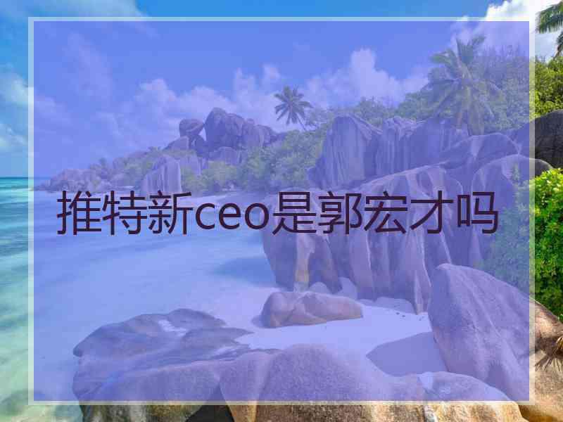 推特新ceo是郭宏才吗