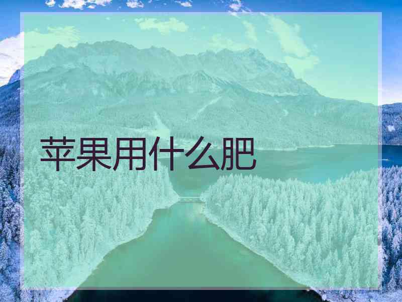 苹果用什么肥