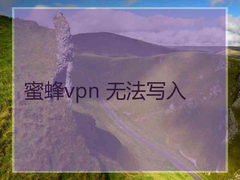 蜜蜂vpn 无法写入