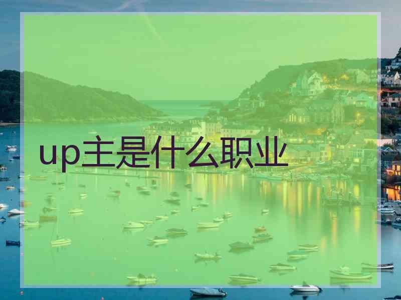 up主是什么职业