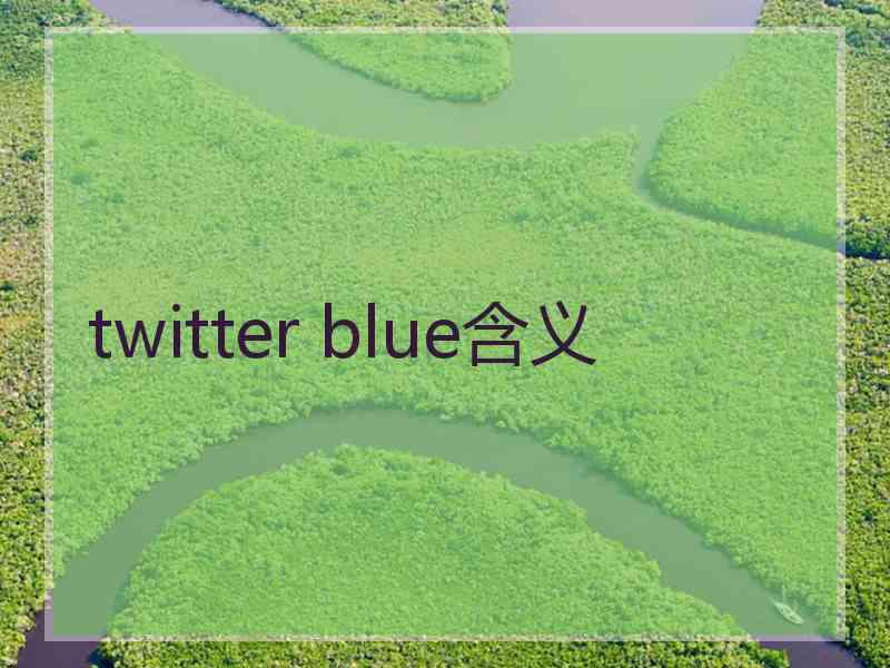 twitter blue含义