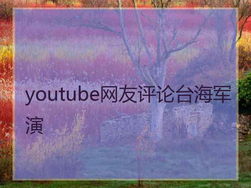 youtube网友评论台海军演