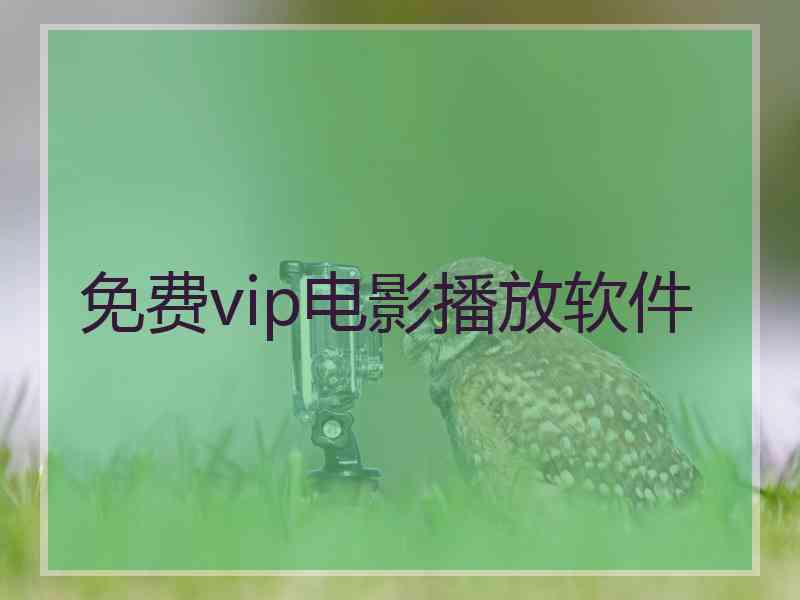 免费vip电影播放软件