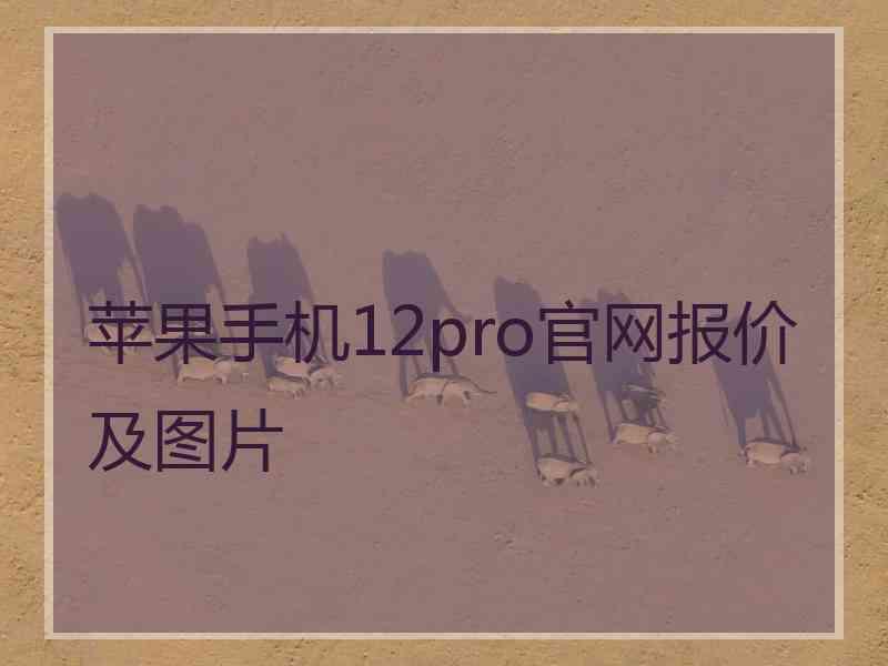 苹果手机12pro官网报价及图片