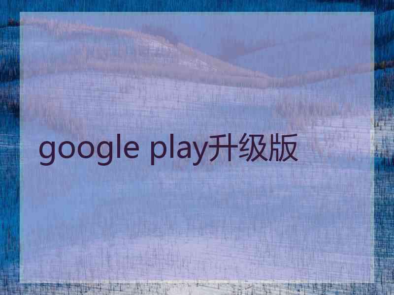 google play升级版