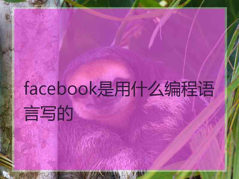 facebook是用什么编程语言写的