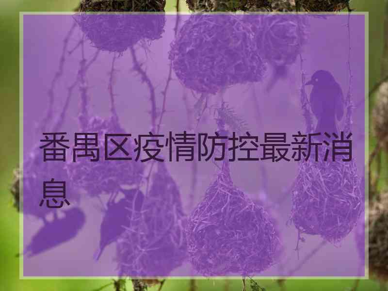 番禺区疫情防控最新消息