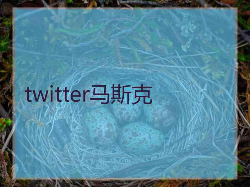 twitter马斯克