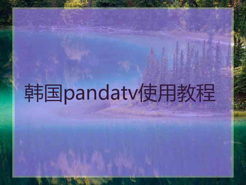 韩国pandatv使用教程