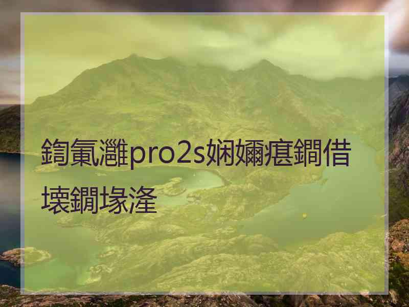 鍧氭灉pro2s娴嬭瘎鐧借壊鐗堟湰