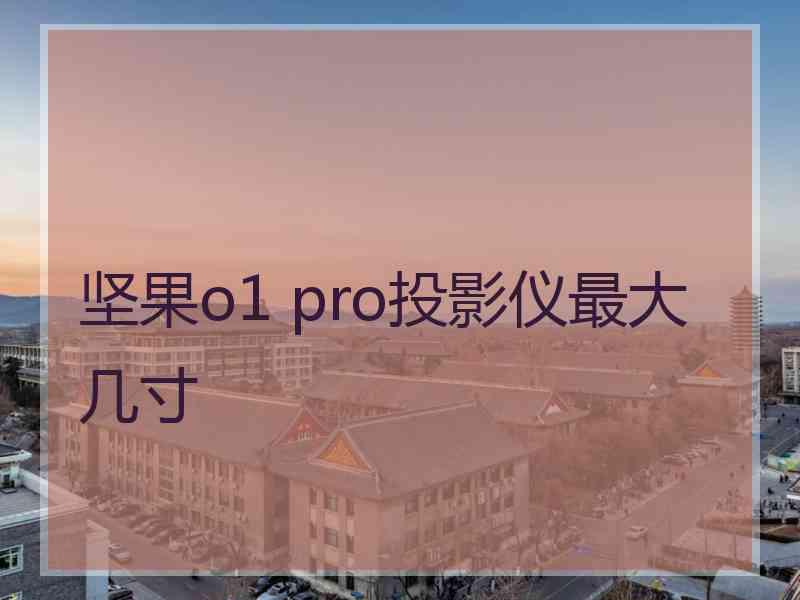 坚果o1 pro投影仪最大几寸