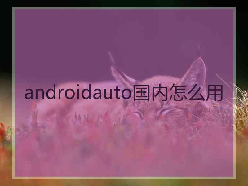 androidauto国内怎么用