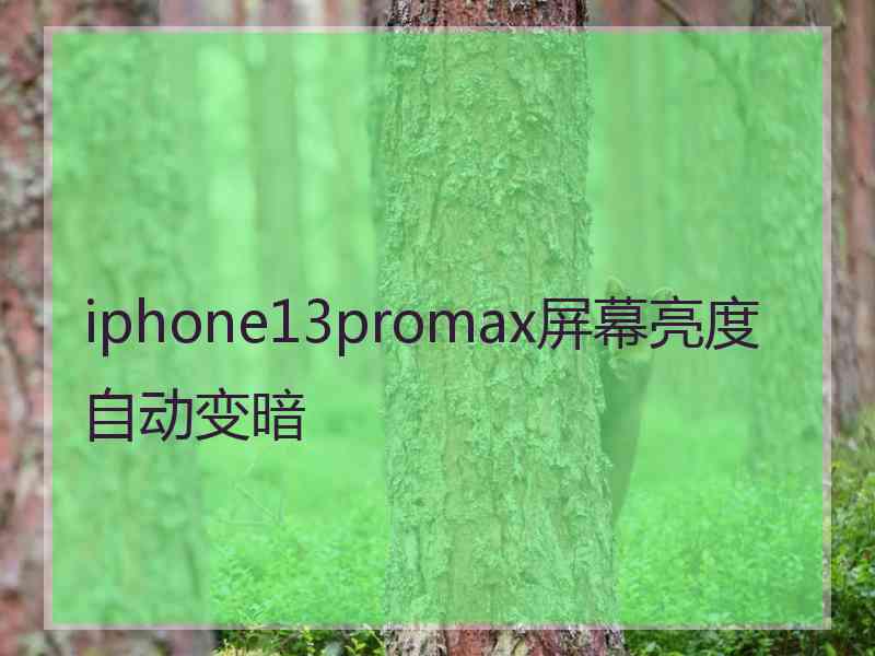 iphone13promax屏幕亮度自动变暗