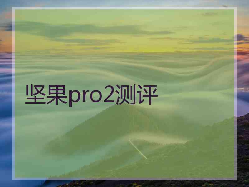 坚果pro2测评