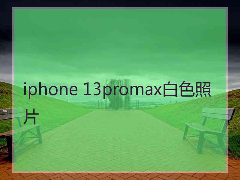 iphone 13promax白色照片