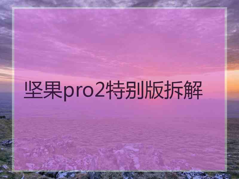 坚果pro2特别版拆解