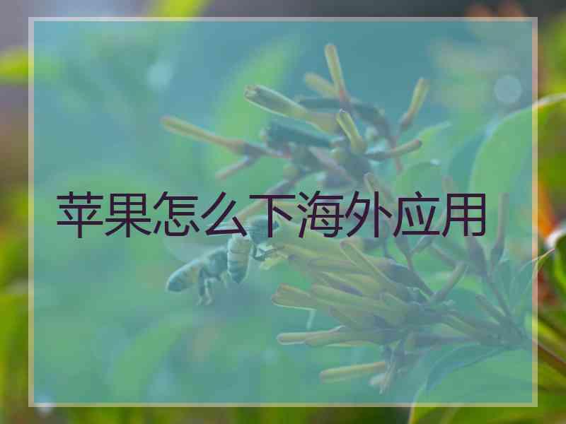 苹果怎么下海外应用