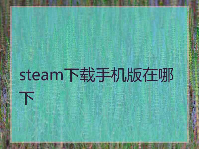 steam下载手机版在哪下