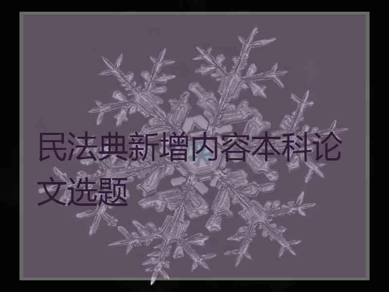 民法典新增内容本科论文选题