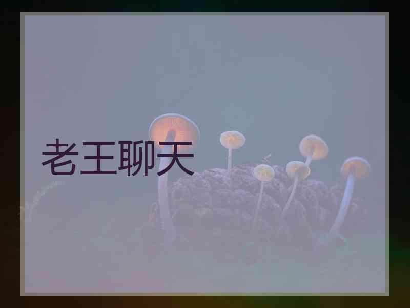 老王聊天