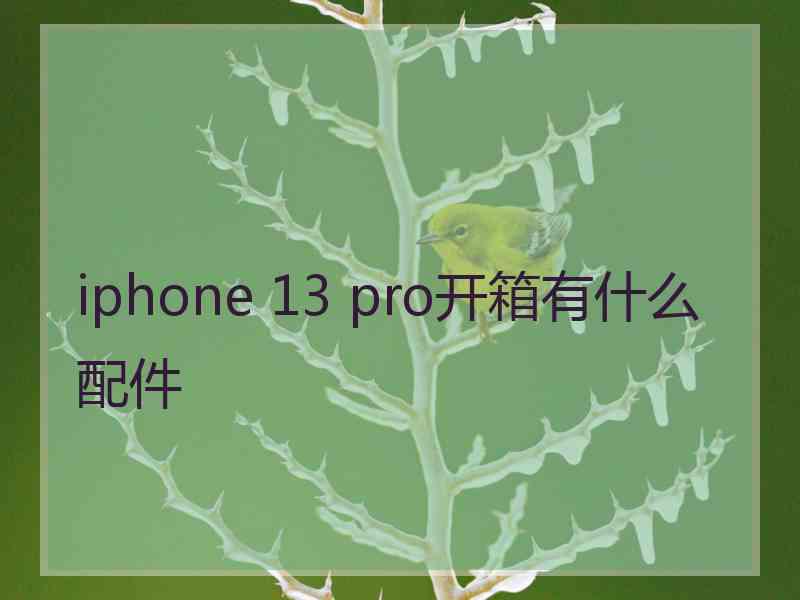 iphone 13 pro开箱有什么配件