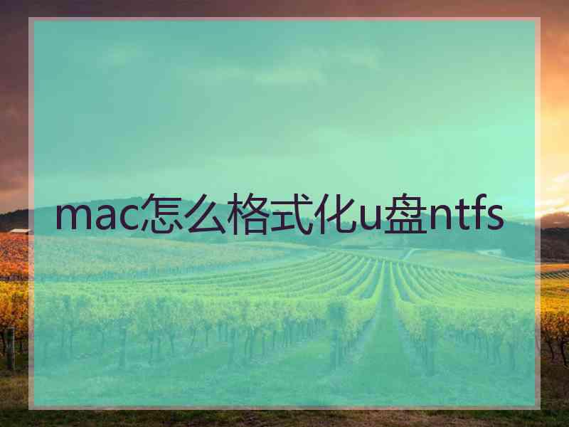 mac怎么格式化u盘ntfs