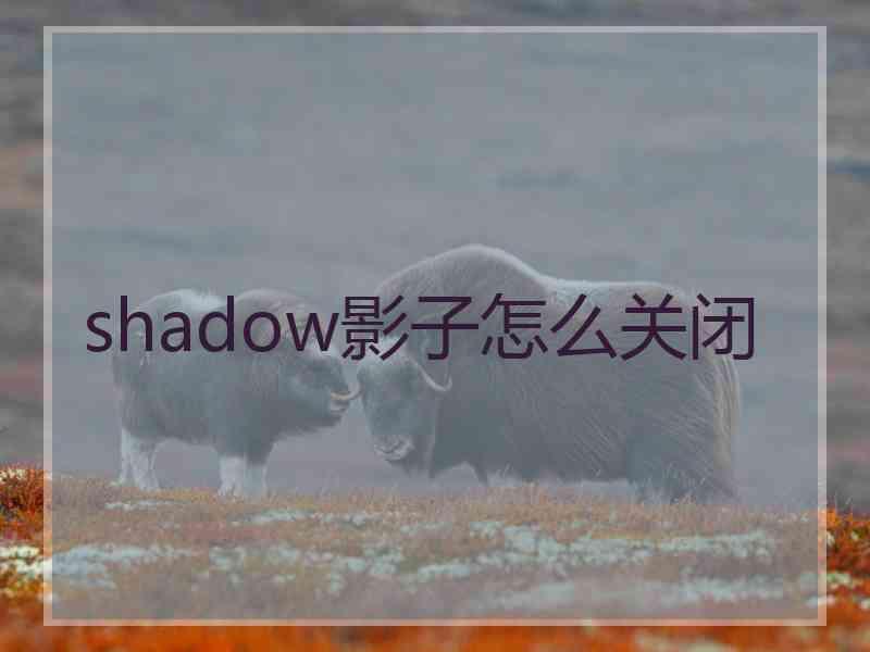 shadow影子怎么关闭