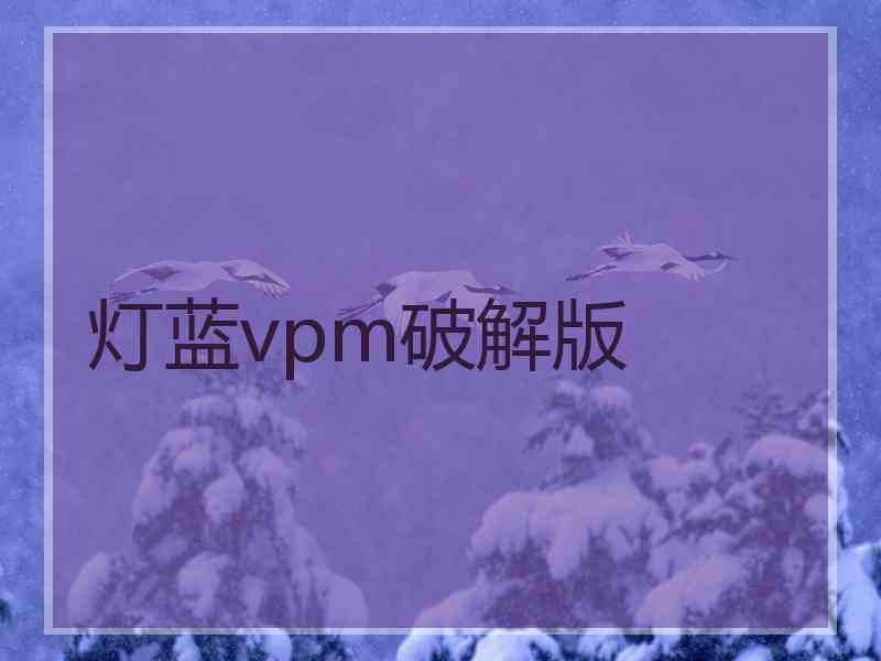 灯蓝vpm破解版