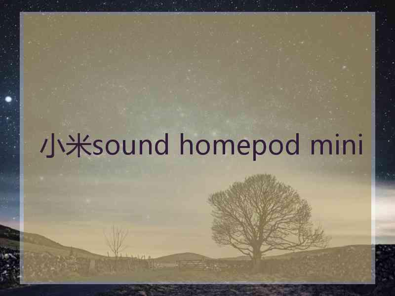 小米sound homepod mini