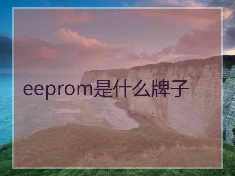 eeprom是什么牌子