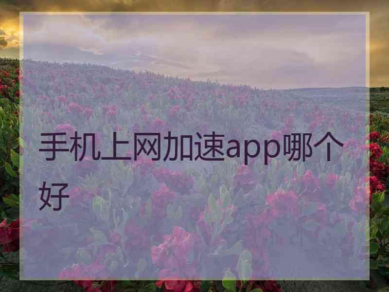 手机上网加速app哪个好