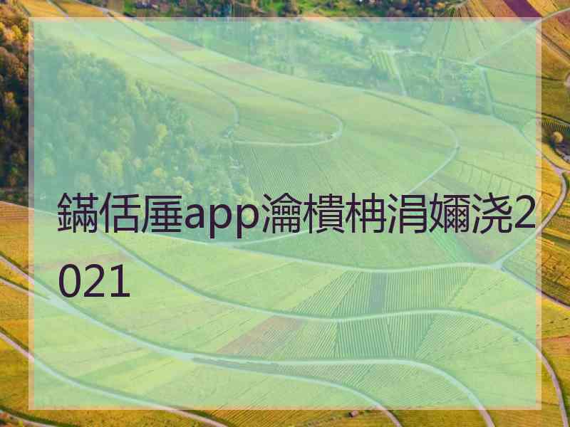 鏋佸厜app瀹樻柟涓嬭浇2021