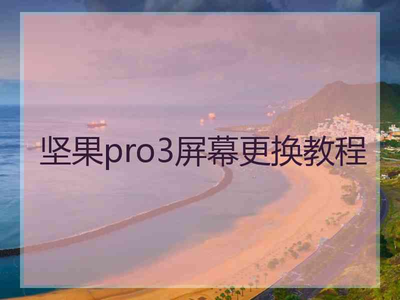 坚果pro3屏幕更换教程