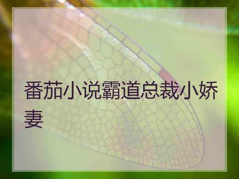 番茄小说霸道总裁小娇妻