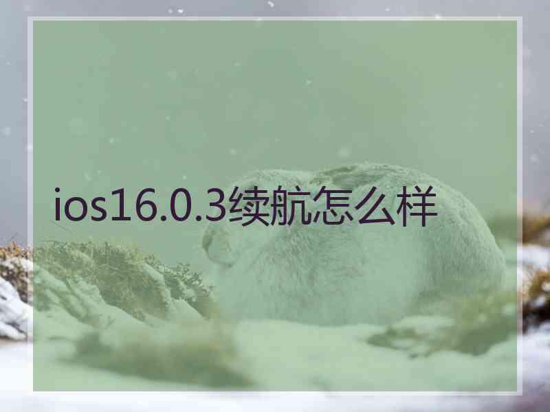 ios16.0.3续航怎么样