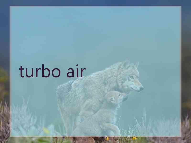 turbo air