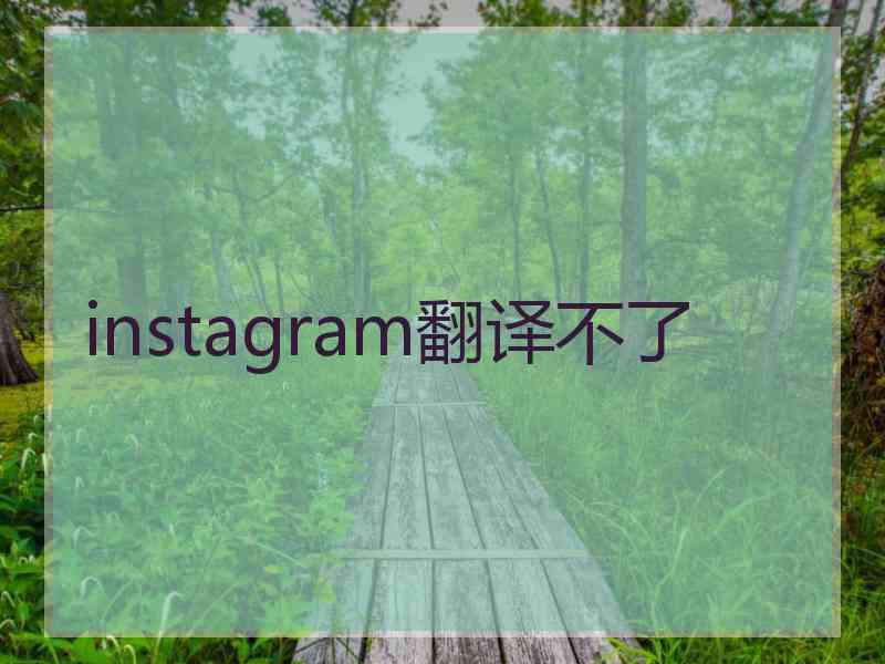 instagram翻译不了