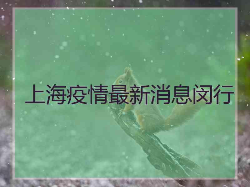 上海疫情最新消息闵行