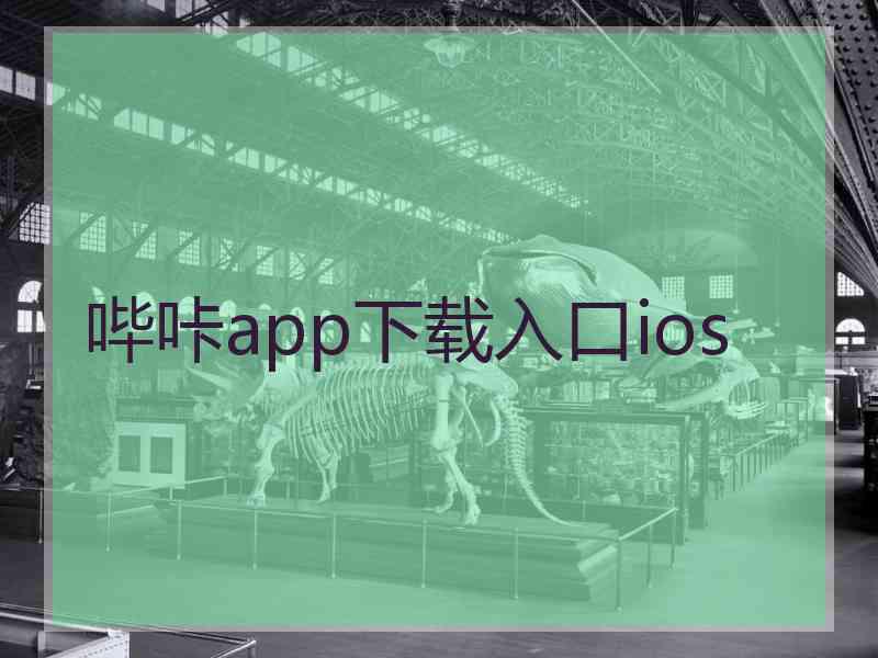 哔咔app下载入口ios