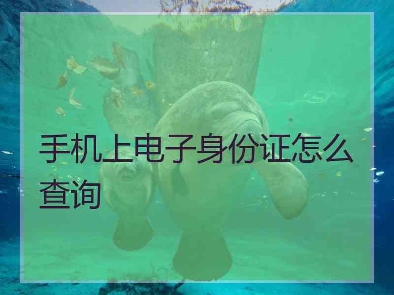 手机上电子身份证怎么查询