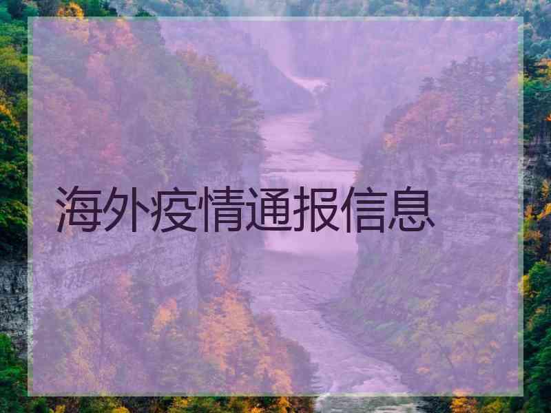 海外疫情通报信息